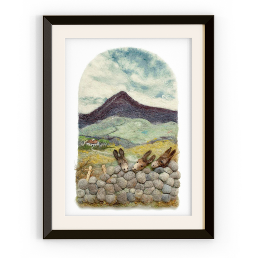 Delaney's Donkeys Prints