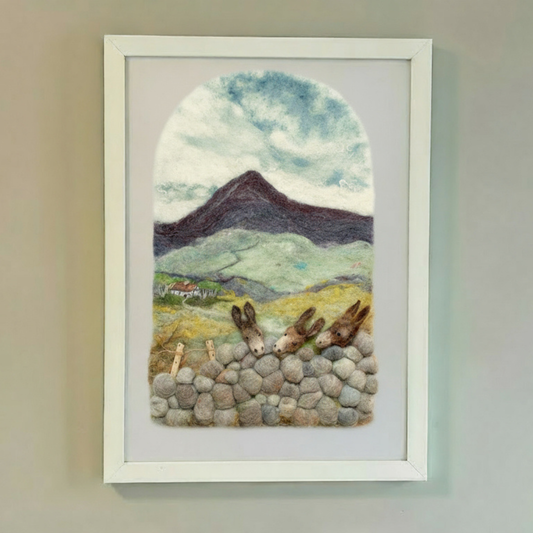 Delaney's Donkeys Prints